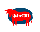 /public/logoimage/1602608520star steer.png